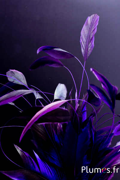 Haan zweep Body Split - 23-28 cm - zwart-aubergine